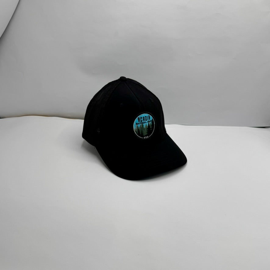 USA Men's Black Trucker Cap