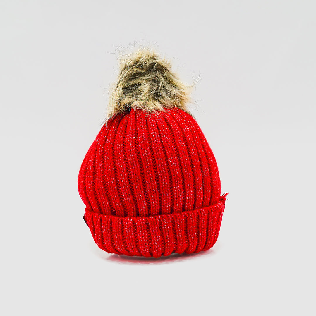 Women's Winter Beanie - Warm Wool Cap